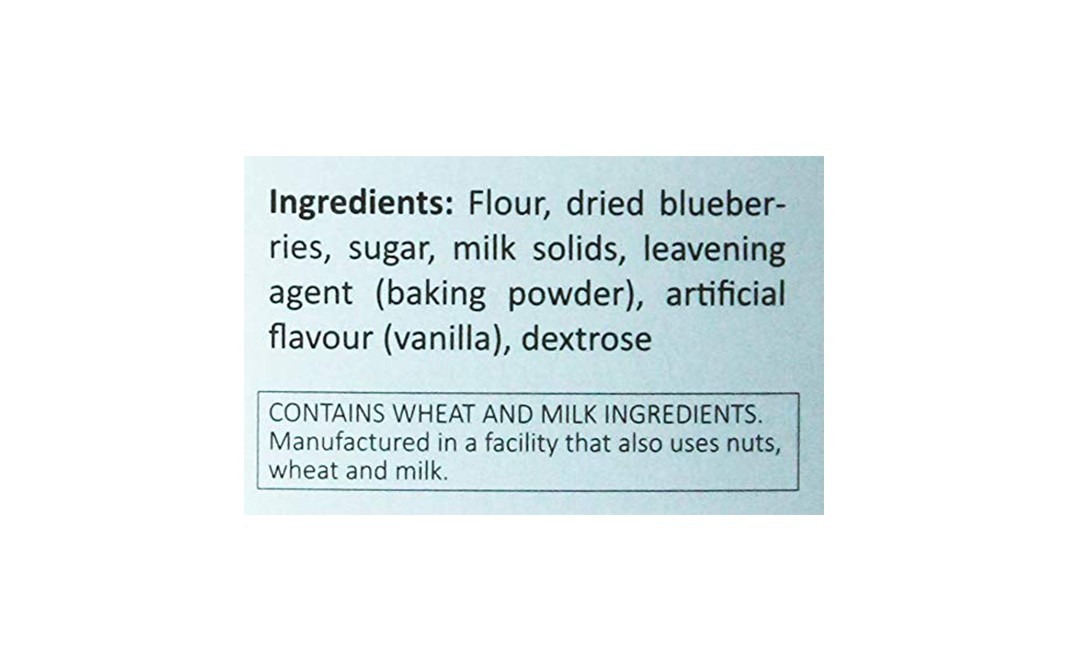 The Daily Gourmet Blueberry Pancake Mix    Pack  185 grams
